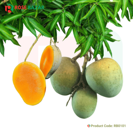 Product Code RB0101_03